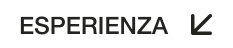 Esperienza selezionata